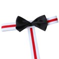 thumbnail image 4 of 2024 Mens Suspender Swimsuit Ti-84 Swimwear Thong Underwear Small Hair Ties Bread Bags with Ties Hair Ties Coil Hair Ties bow ties for men, 4 of 7