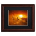 thumbnail image 2 of Trademark Fine Art "Touch of Last Light" Canvas Art by Philippe Sainte-Laudy Black Matte, Wood Frame, 2 of 5