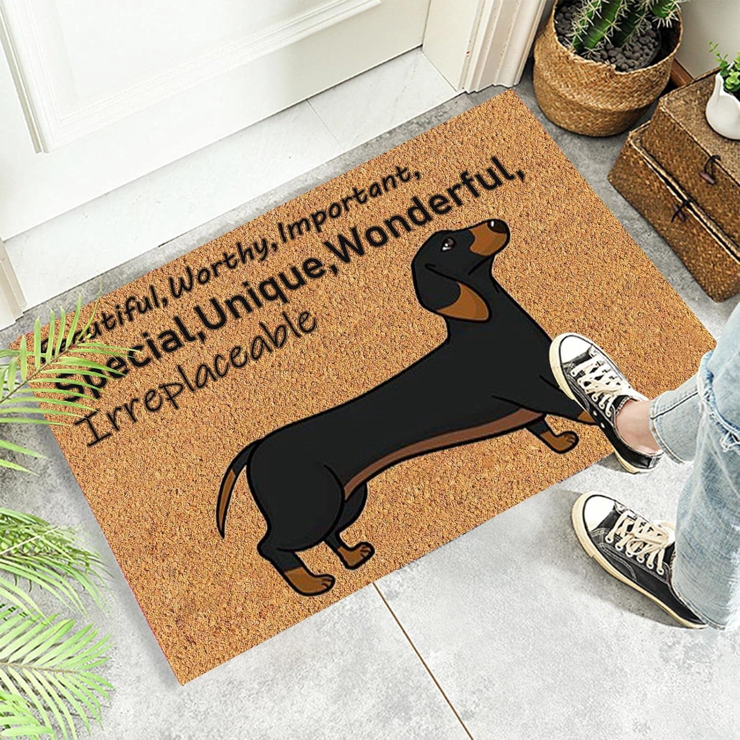Coir Mat Door Mat Outdoor Mat for Entryway Outside Yard Home Decoration Door Mat - Novelty Designs Welcome Doormats Dachshund Coco Coir Outdoor Mat Natural Coir Doormat with Non-Slip Backing Sale