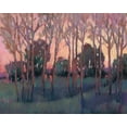 thumbnail image 2 of OToole, Tim 18x15 White Modern Wood Framed Museum Art Print Titled - Morning Light I, 2 of 4