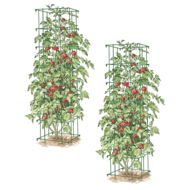 Tomato Towers Set of 2 - Walmart.com