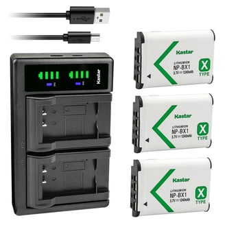 Kastar 2-Pack NPBX1 Battery and LTD2 USB Charger Replacement for
