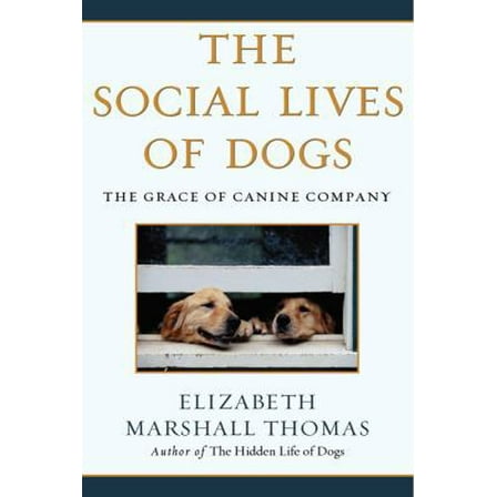Pre-Owned The Social Lives of Dogs: The Grace of Canine Company (Paperback) 0743422368 9780743422369