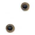 thumbnail image 4 of Light Brown Tropical Owl Bird Glass Eyes, 4 of 9
