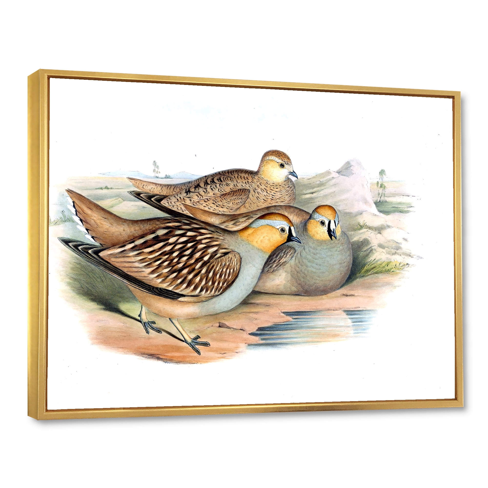 Designart 'Ancient Birds In The Wild III' Traditional Framed Canvas Wall Art Print