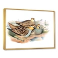 thumbnail image 3 of Designart 'Ancient Birds In The Wild III' Traditional Framed Canvas Wall Art Print, 3 of 5