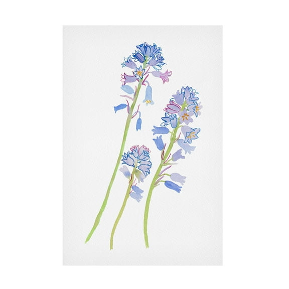 Trademark Fine Art Kata Botanical Hyacinthoides hispanica Canvas Wall Art