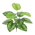 thumbnail image 4 of Artificial Plants Home Decor Green Photo Props Green Garden Decoration for Shelf F, 4 of 9