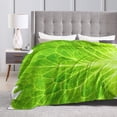 thumbnail image 4 of Wijzvio Lettuce Vegetable Throw Blanket Soft Fuzzy Fleece Blanket For Couch Bed Living Room Decoration 60"X50", 4 of 9