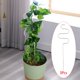 thumbnail image 1 of Enrejado para plantas de interior de 3 piezas, maceta resistente para decoración, enrejado para plantas de Metal plateado de larga duración para 1377 pulgadas shamjiam Estaca de apoyo, 1 of 8