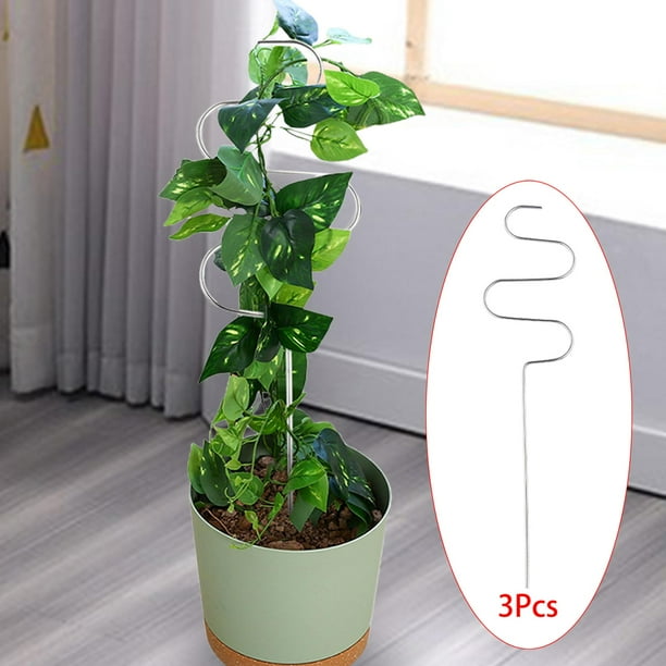 Enrejado para plantas de interior de 3 piezas, maceta resistente para decoración, enrejado para plantas de Metal plateado de larga duración para 1377 pulgadas shamjiam Estaca de apoyo