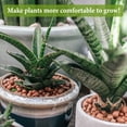 thumbnail image 5 of 20 LBS Organic Expanded Clay Pebbles, 4mm -16mm Light Expanded Clay Aggregate, Natural Clay Pebbles for Hydroponic & Aquaponics Growing, Orchid Potting Mix, Dutch Buckets, Drainage, 5 of 7