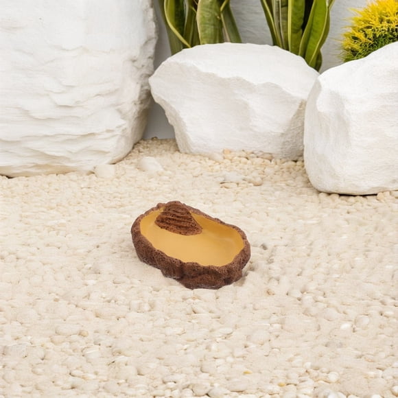 OULII Plato De Comida Y Para Reptiles Con Para Terrarios De Varias