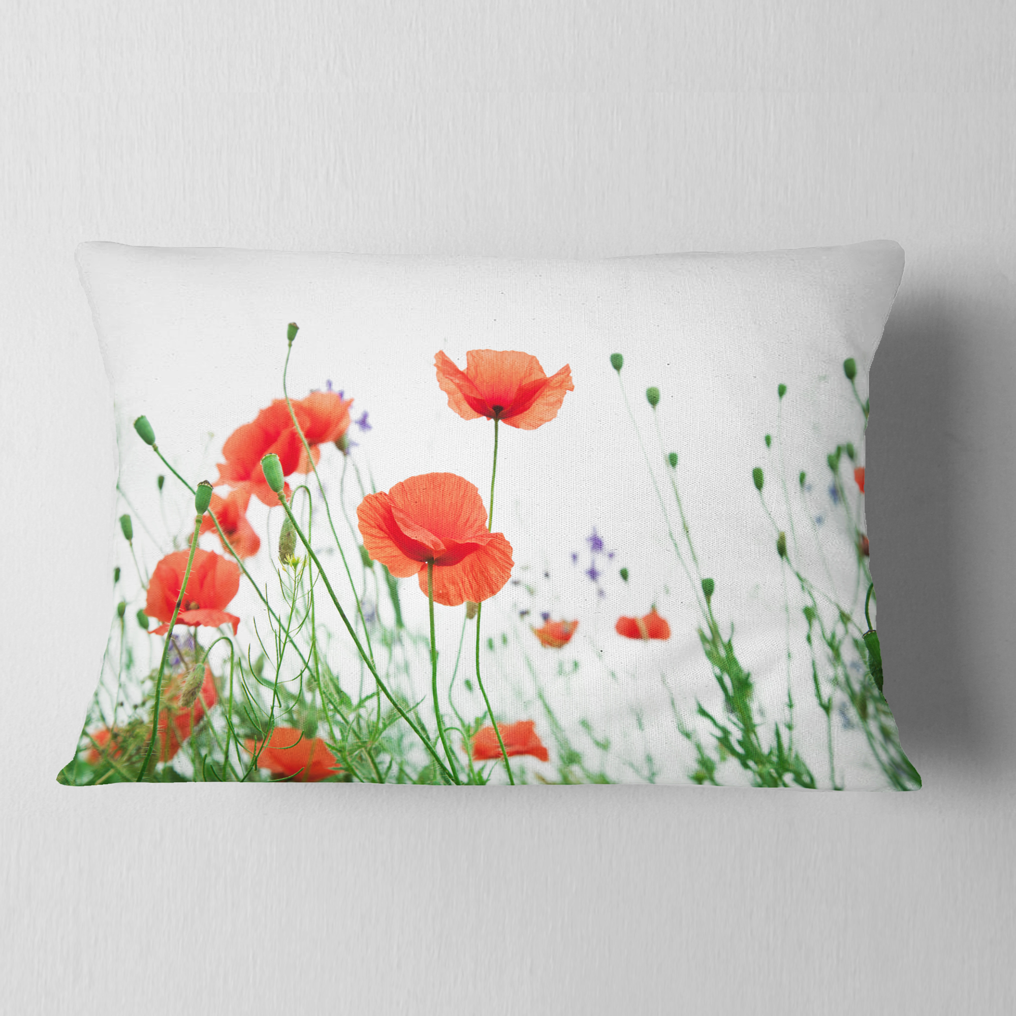 Designart Poppy Flowers on White Background - Floral Throw Pillow - 12x20