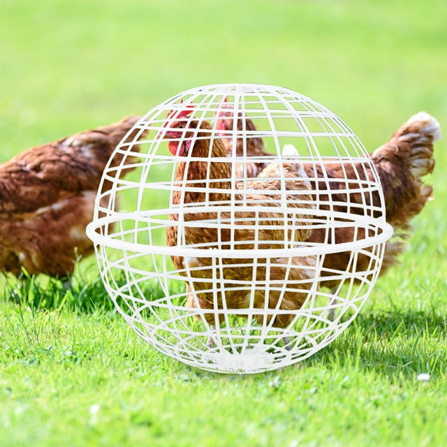 Jaula esférica de plástico para gallinas de 40 cm, ideal para conejos, ideal para pasear y buscar comida en zonas pintorescas.