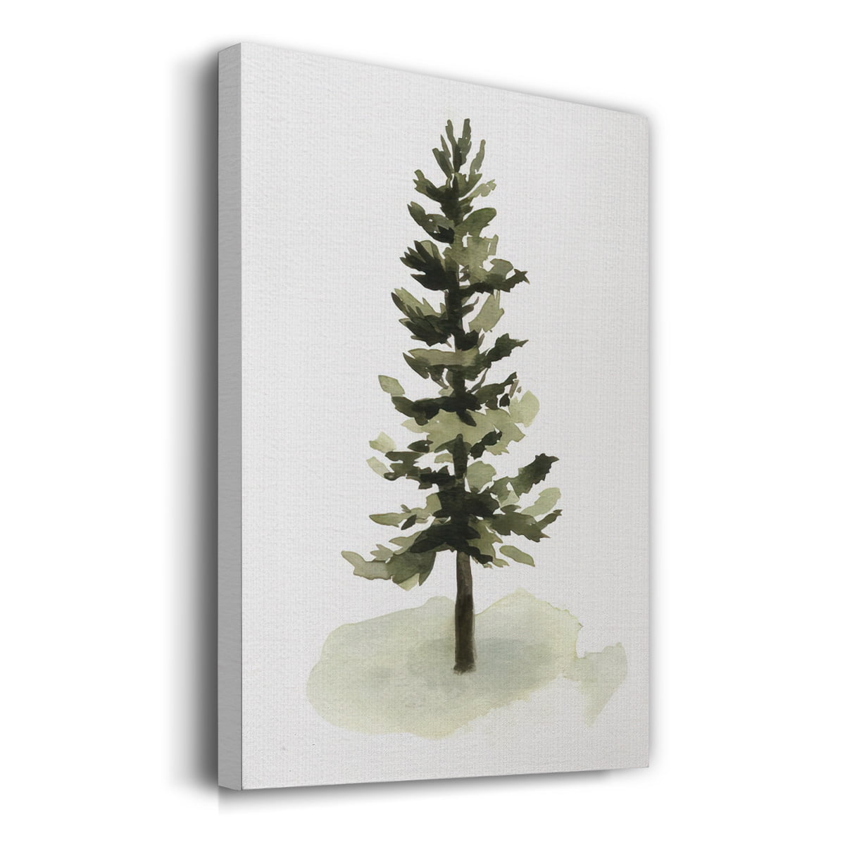 Watercolor Pine II- Gallery Wrapped Canvas