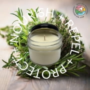 Ginger + Saffron Citronella Soy Candle - 3oz 1 Pack, Best Bee Brothers
