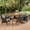 Multi-Color, variant on Noble House Jaxon 7 Piece Wooden Patio Dining Set in Teak