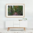 thumbnail image 6 of Hiking to the Lake on a Beautiful Autumn Afternoon - Pennsylvania Photography Forest Autumn Woodland Nature Scenic Landscape Wilderness Unframed Wall Art Print 16 x 24 inches, 6 of 7