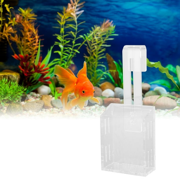 Soporte para Plantas de Acuario Maceta Colgante para Acuario Maceta Acuática Soporte para Plantas de Acuario Tanque de Peces Acrílico Maceta Colgante para Plantas de Agua ANGGREK Otros