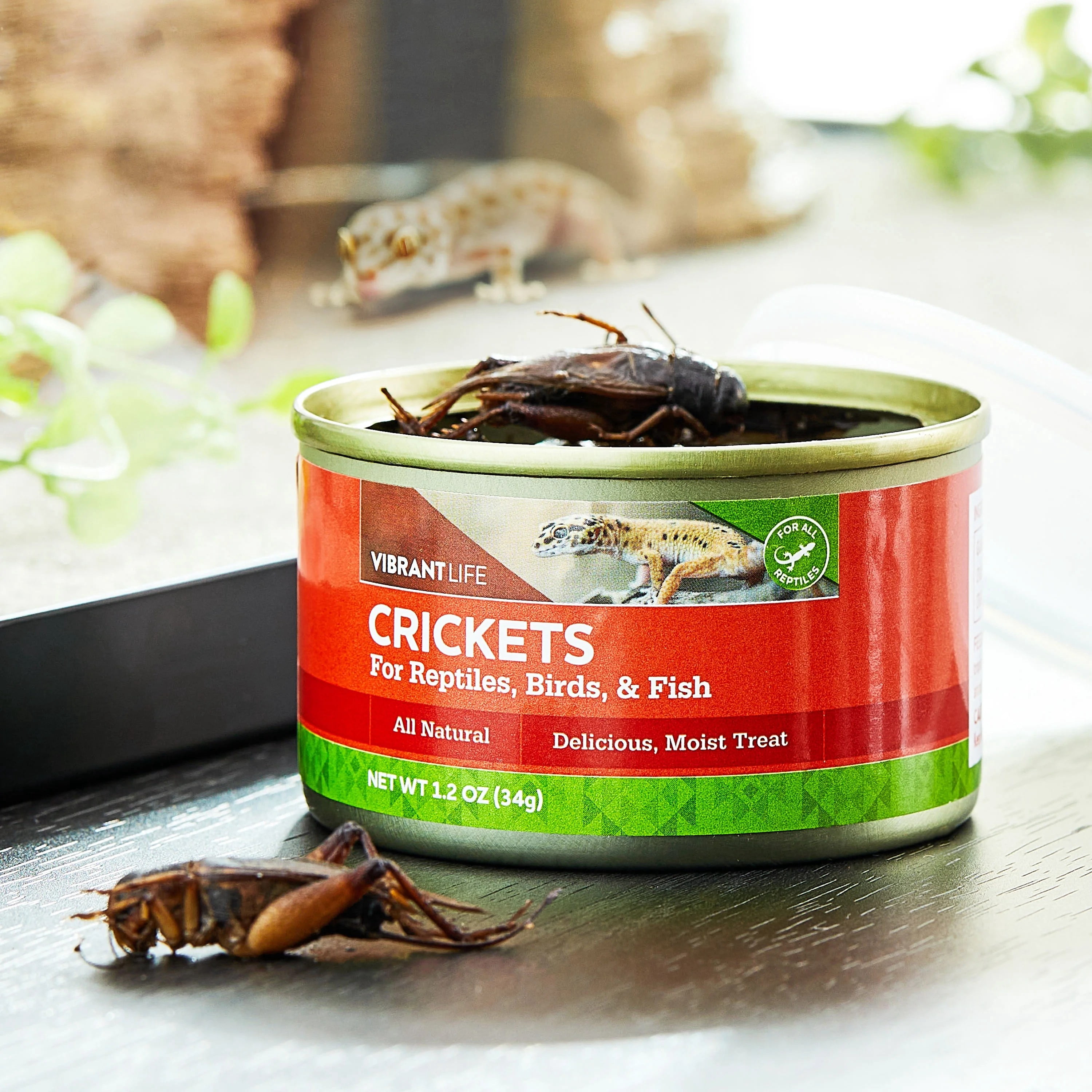 (2 pack) Vibrant Life Canned Crickets for Reptiles, Birds & Fish, 1.2 oz