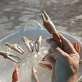 thumbnail image 5 of Toadfish Crab Leg Cracker Tool - Seafood Shell Cracking Tool - Stainless Steel Serrated Cutter - Ergonomic Non-Slip Grip - Built-In Bottle Opener Outfitters, 5 of 7