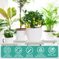 thumbnail image 3 of 2Pcs Planter Caddy with Wheels Square Rolling Planter Stand Heavy Duty Planter Roller Tray 360° Rolling Planter Dolly Practical Rolling Planter Base for Indoor Planter Pots, 3 of 10