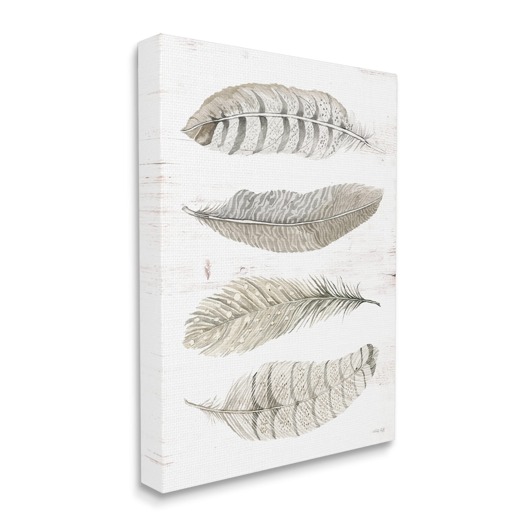 Stupell Industries Neutral Bird Feather Arrangement Natural Patterns Country Quill, 16 x 20,Design by Cindy Jacobs