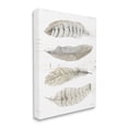 thumbnail image 3 of Stupell Industries Neutral Bird Feather Arrangement Natural Patterns Country Quill, 16 x 20,Design by Cindy Jacobs, 3 of 5