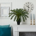 thumbnail image 2 of Nearly Natural 30" Plastic Cycas Artificial Plant, Green, 2 of 4