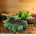 thumbnail image 2 of Lizard Lizard Feeding Bowl, Feeding Bowl Tortoise Feeder, For Aquarium Fish Tank, 2 of 8