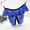 Blue, variant on Womens Low Rise Lace Panties, Plus Size Floral Sheer Brief, Sexy Lingerie for Women in Pink,Size 3XL