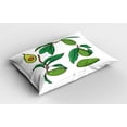 thumbnail image 2 of Ambesonne Avocado Pillow Sham 2 Pack, Exotic Fruits on Branch, 36"x20", Green and Brown, 2 of 3