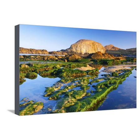 Tide Pools Along Beach, Seal Rock State Park, Oregon Coast, Pacific Ocean, Pacific Northwest Stretched Canvas Print Wall Art By Craig