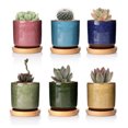 thumbnail image 1 of Ensemble de 6 Jardinières Succulentes avec des Dessous de Verre en Bambou Rond en Céramique, 1 of 5