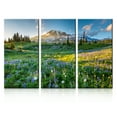 thumbnail image 1 of TISHIRON 3PCS Framed Canvas Wall Art Set,42"x28" Wildflowers at Sunset Canvas Art Decor, 1 of 7