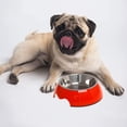 thumbnail image 5 of Laklulu Cuenco para mascotas, cuenco para perros, cuenco para gatos, cuenco individual antideslizante de acero inoxidable de doble uso, cuenco para comida, 5 of 5