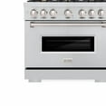 thumbnail image 2 of ZLINE 36 in. 5.2 cu. ft. Classic Dual Fuel Range with Gas Cooktop and Electric Convection Oven in Stainless Steel with 6 Brass Burners (CDR-BR-36), 2 of 2