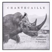 Luminescent Eye Shade - Rhinoceros by Chantecaille for Women - 0.08 oz Eye Shadow