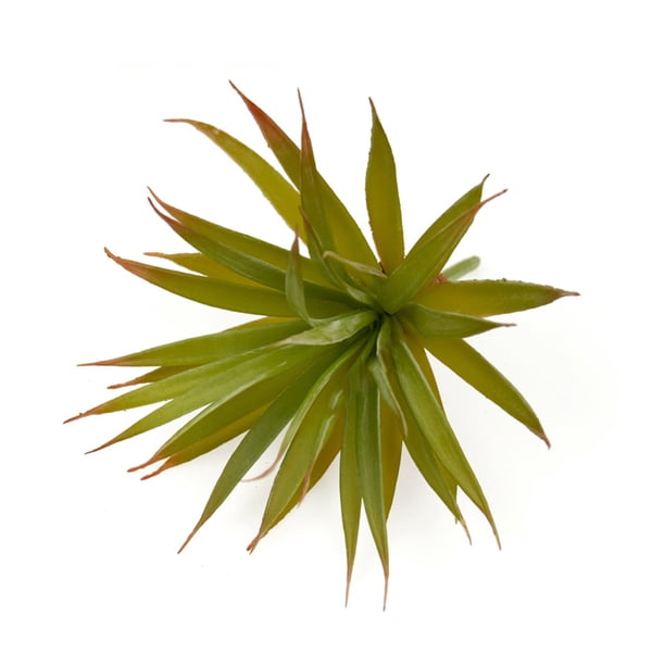 Bearachild Flores artificiales de plástico de plantas suculentas simuladas duraderas para una belleza duradera y decoraciones suculentas Decoración Hoja de espada grande Otoño