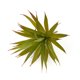 thumbnail image 1 of Bearachild Flores artificiales de plástico de plantas suculentas simuladas duraderas para una belleza duradera y decoraciones suculentas Decoración Hoja de espada grande Otoño, 1 of 6