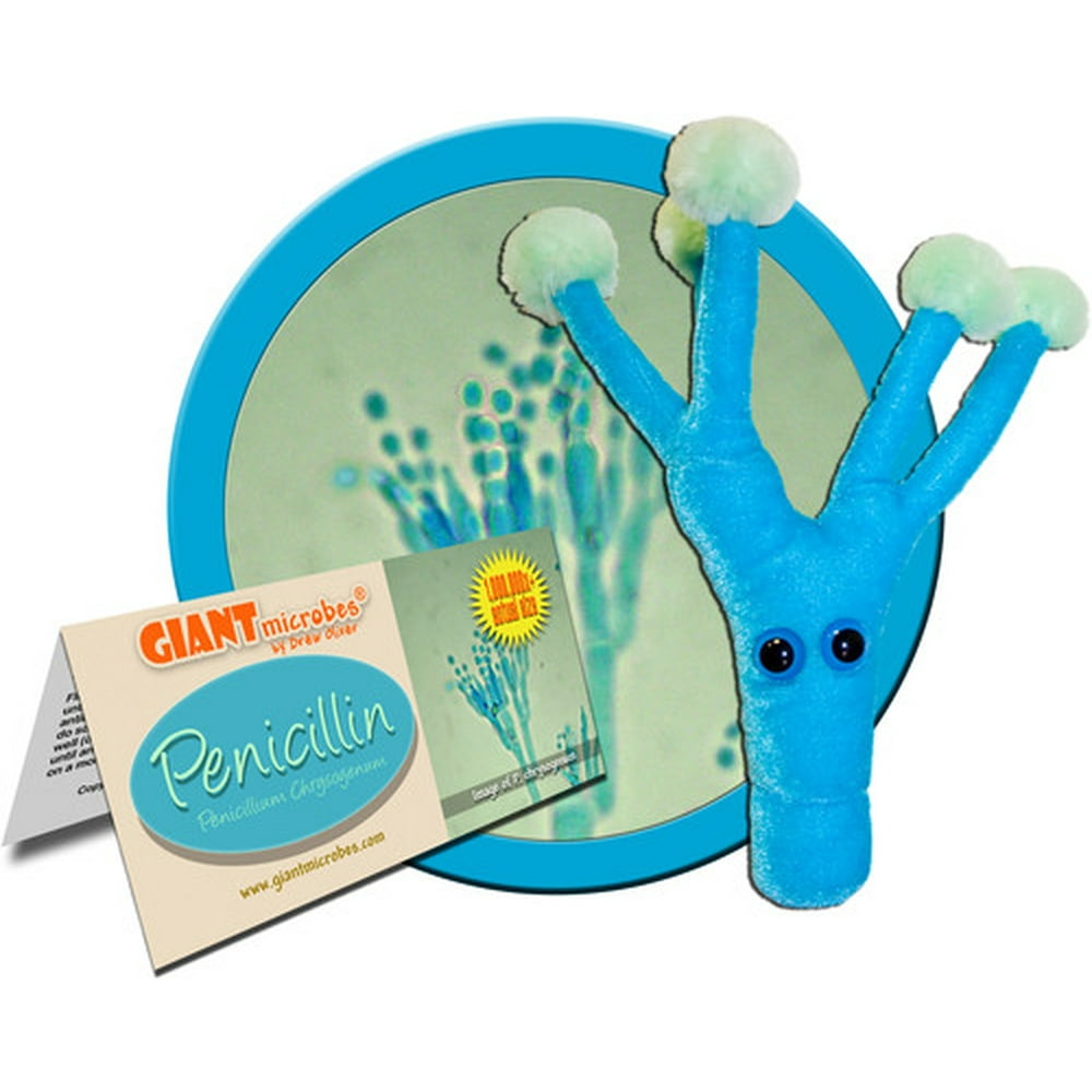 giant microbes animal cell