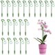 thumbnail image 2 of Soporte especial para soporte de flores para plantas suculentas Phalaenopsis varilla de soporte con forma de flor en maceta - 17 cm: 20 piezas + clip de ocho caracteres: 20 piezas ANGGREK  Otros, 2 of 8