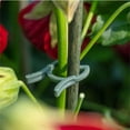 thumbnail image 5 of HOARBOEG Gardening Clips 250 Pack, Plant Support Clips for Vines and Stems, Reusable Plastic Plant Ties, Garden Twist Ties for Tomato, Rose, Adjustable Plant Clips for Training, Organizing Cables, 5 of 6