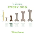 thumbnail image 6 of Benebone Bacon Stick Durable Dog Chew Toy for Aggressive Chewers, Real Bacon, Small, 6 of 9