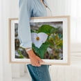thumbnail image 5 of Trillium Bloom in the Appalachians in Spring - Virginia Photography Flowers Botanical Nature Floral Garden Woodland Scenic Unframed Wall Art Print 5 x 7 inches, 5 of 7