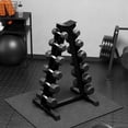 thumbnail image 1 of Hex Dumbbell Set with Rack – Rubber Coated – 210 lb Options – Home Gym – Strength & Full Body Training – Includes Hand Weights – Black, 1 of 6