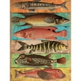 thumbnail image 3 of Grey, Jace 12x14 Black Modern Framed Museum Art Print Titled - Fish Wall Mate, 3 of 5