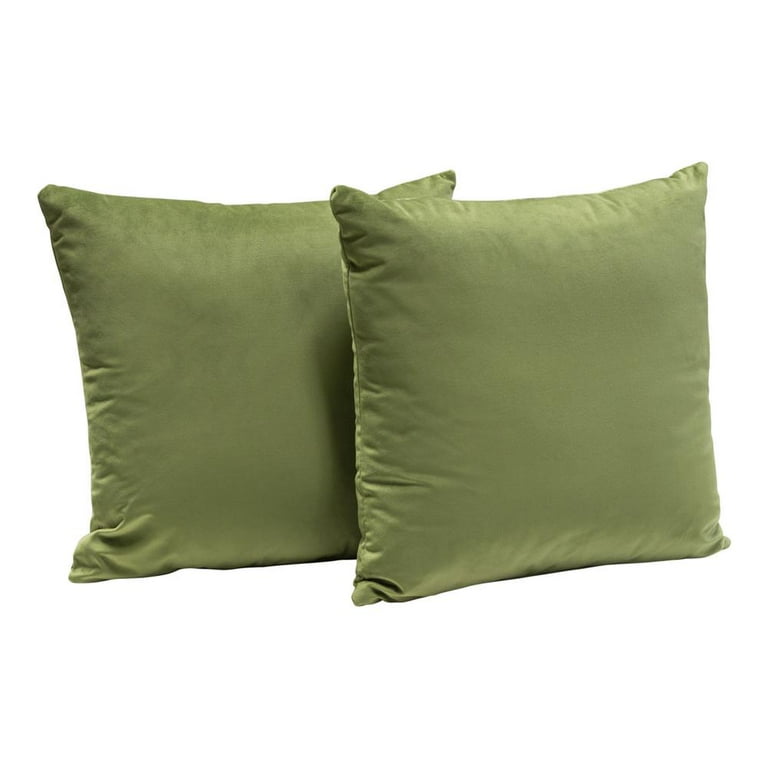 Sage green velvet outlet pillow