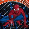 Marvel Spider-Man 3 Movie Fleece Throw